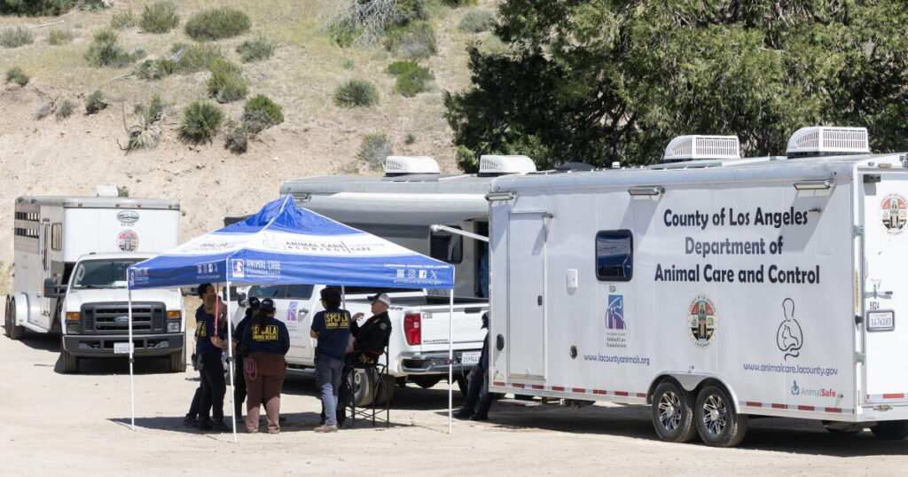 D.A. announces criminal charges against Lake Hughes animal rescuer