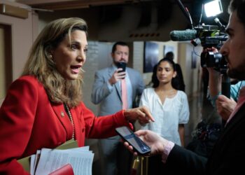 Trump criticizes Republican who said immigration enforcement had ‘gone too far’