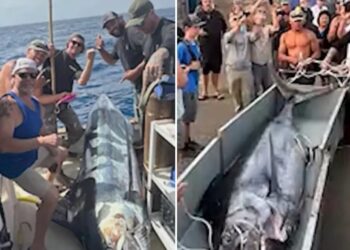 Fishermen make record-breaking catch off California coast