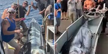 Fishermen make record-breaking catch off California coast