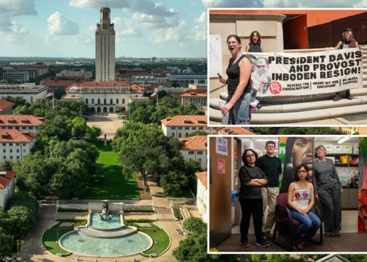 University of Texas cutting three race, gender studies majors