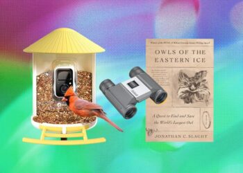 An Editor’s Picks: The Best Gifts for Bird Lovers