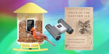 An Editor’s Picks: The Best Gifts for Bird Lovers