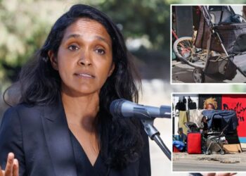 Dramatic new ad blasts Nithya Raman’s stance on homeless encampments: ‘Walking to school shouldn’t be scary’