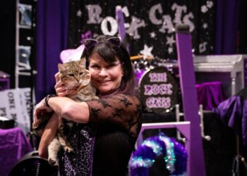 These rescue cats perform astonishing tricks, when they feel like it