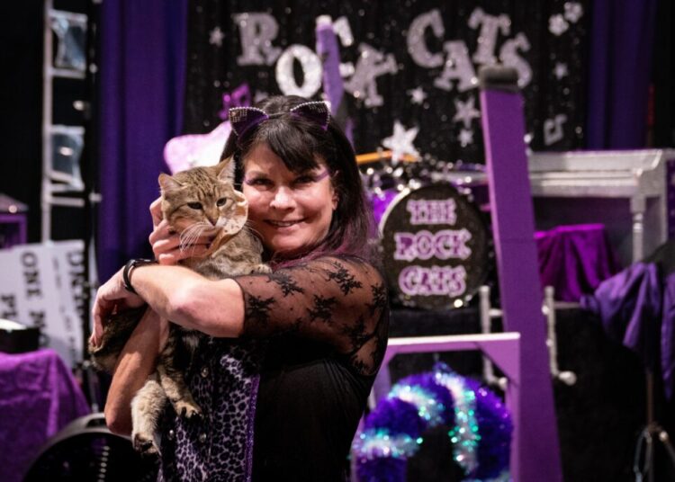 These rescue cats perform astonishing tricks, when they feel like it