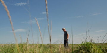 Farmers turn to perennial grains as one solution to extreme weather