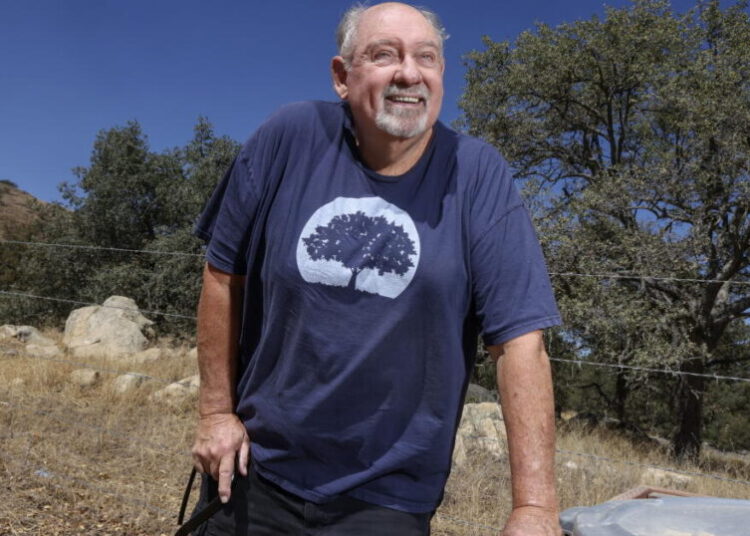 California is losing its oaks. One man is planting 10,000, including in tree-scarce Altadena