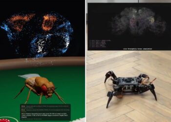 Fruit fly beats advanced AI at chess in just 11 moves — and that’s just the start