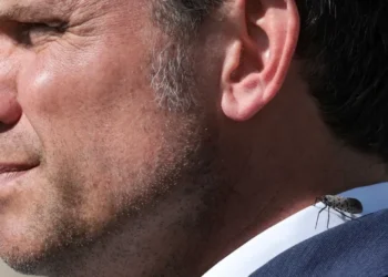 Mockery as Pete Hegseth ‘barks’ at kids in football stadium about ‘redcoats’