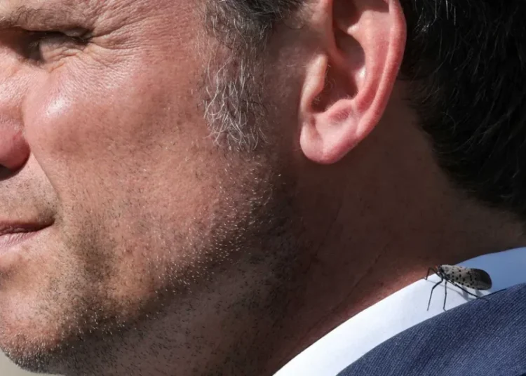 Mockery as Pete Hegseth ‘barks’ at kids in football stadium about ‘redcoats’