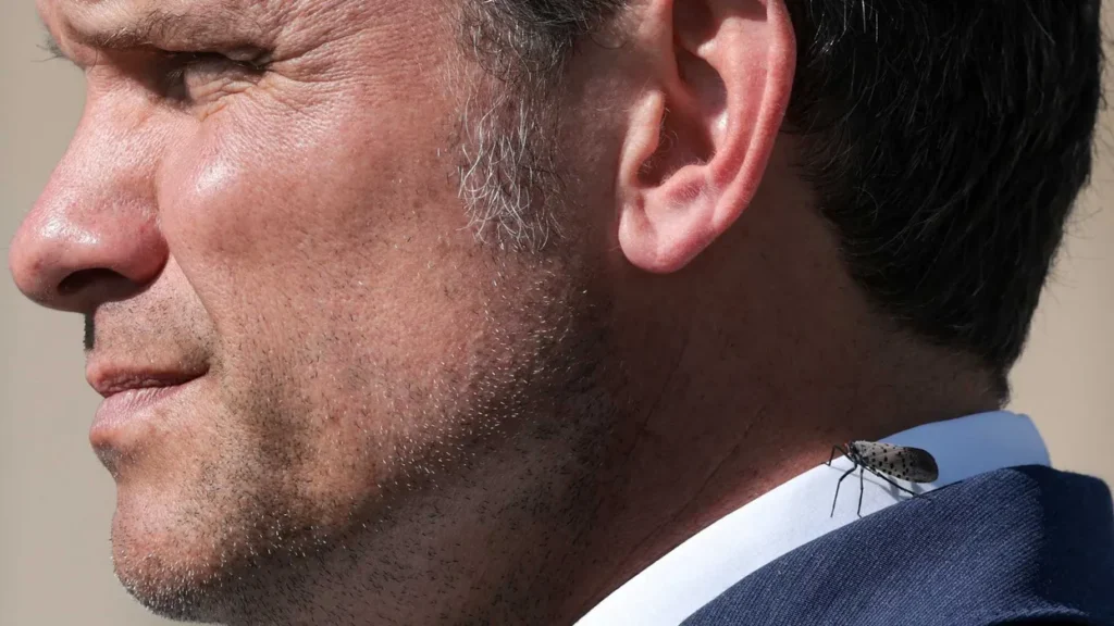 Mockery as Pete Hegseth ‘barks’ at kids in football stadium about ‘redcoats’