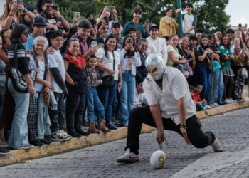Behold the Most Handsome Melons in Mexico