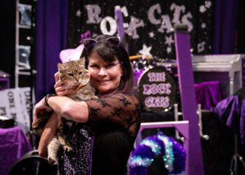 At this show, the acrobats are amazing. And they’re cats.