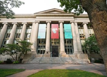 US universities are teaching kids to wage war on American society — where has the sanity gone?