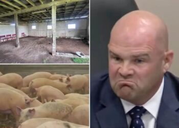 California neighbors revolt over proposed slaughterhouse they fear will bring blood, noise and stench to their doorstep