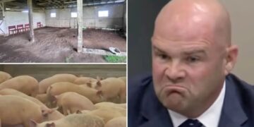 California neighbors revolt over proposed slaughterhouse they fear will bring blood, noise and stench to their doorstep
