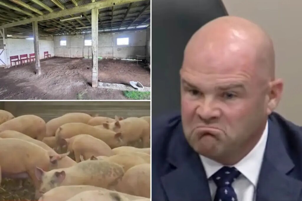 California neighbors revolt over proposed slaughterhouse they fear will bring blood, noise and stench to their doorstep