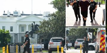 Deranged man allegedly drives on  sidewalk near White House, demands to speak to Trump