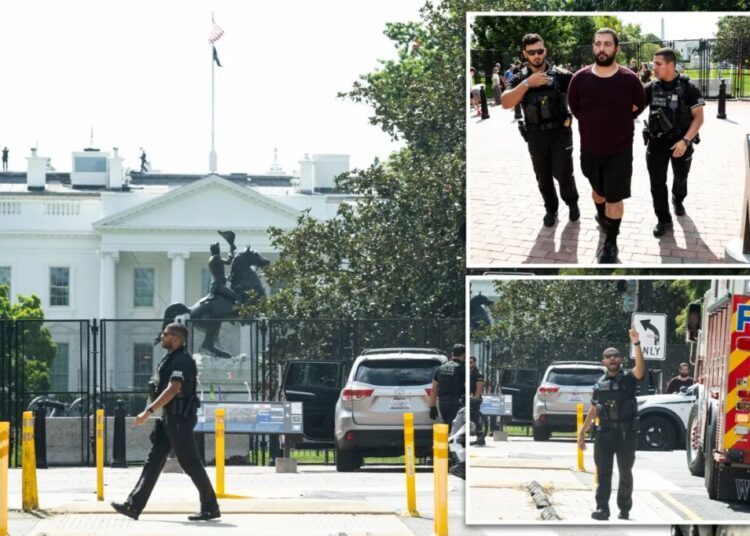 Deranged man allegedly drives on sidewalk near White House, demands to speak to Trump