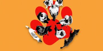Welcome to Dogs Anonymous, the Online Support Group for People With Difficult Dogs