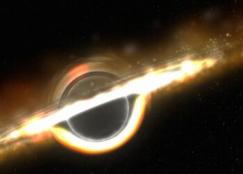 Strange Seeds Appear to Be Growing Into Massive Black Holes