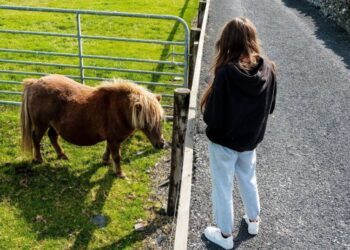 Scientists Claim That Three Minutes With a “Donkey or Small Horse” Can Save Teenagers From Depression