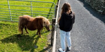 Scientists Claim That Three Minutes With a “Donkey or Small Horse” Can Save Teenagers From Depression