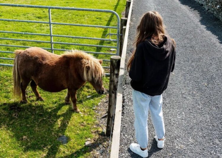 Scientists Claim That Three Minutes With a “Donkey or Small Horse” Can Save Teenagers From Depression