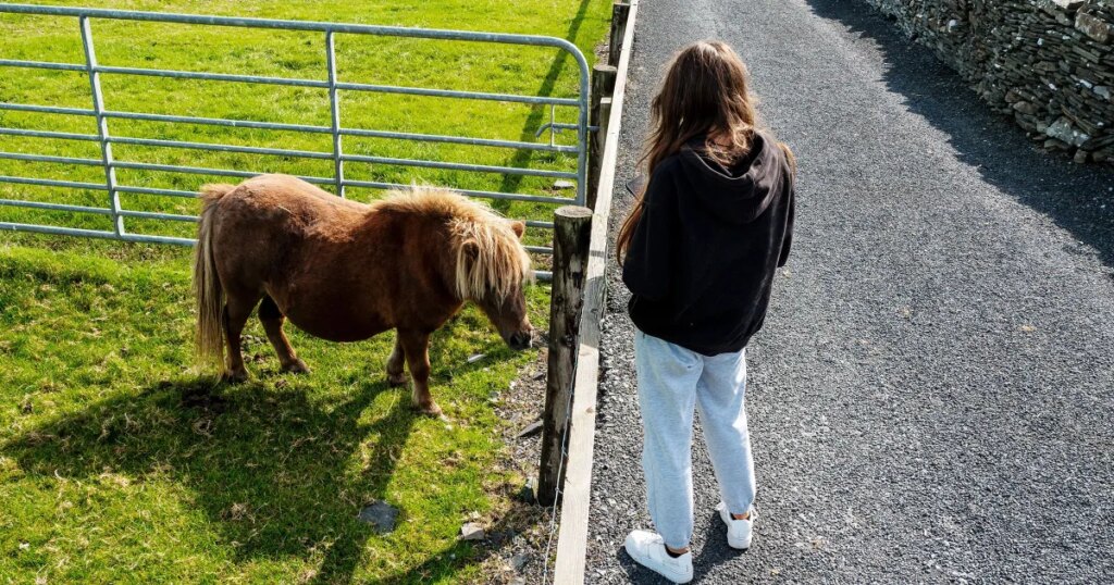 Scientists Claim That Three Minutes With a “Donkey or Small Horse” Can Save Teenagers From Depression