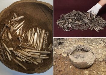 ‘Strange sound’ leads homeowner to unearth massive Viking silver hoard while digging for new patio