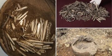 ‘Strange sound’ leads homeowner to unearth massive Viking silver hoard while digging for new patio