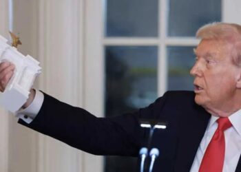 Depth of Trump’s ‘darkness’ exposed by ‘stupid’ push to militarize DC arch: expert