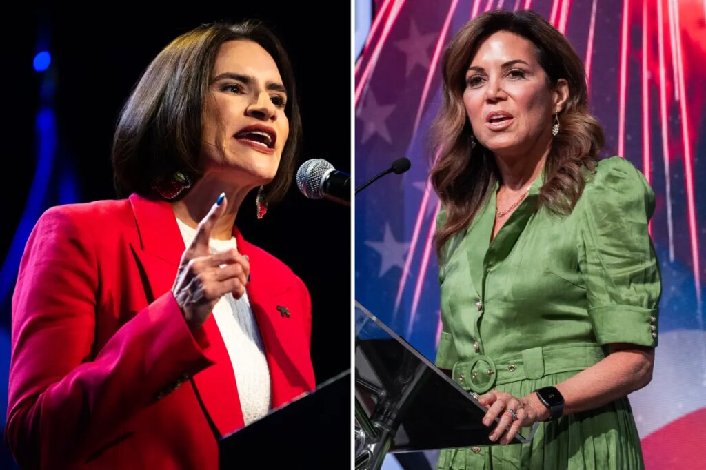 Ex-NFL reporter Michele Tafoya hammers Minnesota Dems on welfare fraud — as polls show her neck and neck in Senate race