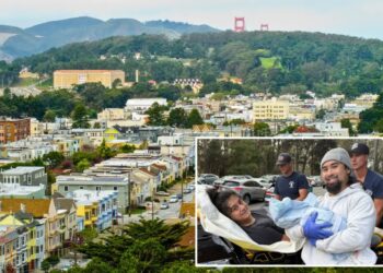 San Francisco woman gives birth on the road after getting stuck in horrific city traffic