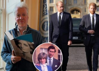 Princess Diana’s brother says his bombshell claims against King Charles following her death will ‘not be a surprise’ to nephews William and Harry