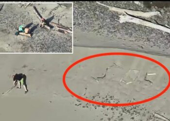 Tourists stranded on isolated Oregon beach after trying to snap ‘dramatic’ photo