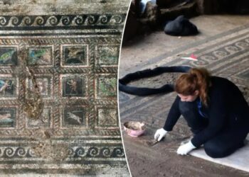 Stunning 2,000-year-old Roman mosaic unearthed in Turkey appears to honor family’s beloved cat and dog