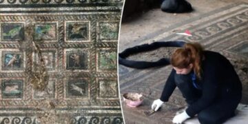 Stunning 2,000-year-old Roman mosaic unearthed in Turkey appears to honor family’s beloved cat and dog