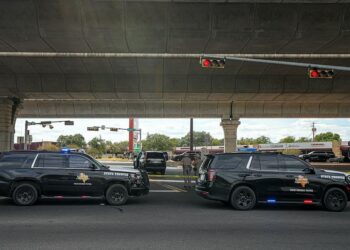 ICE Shooting of Immigrant in Texas Under Investigation: What to Know