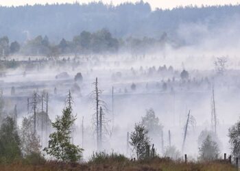 In Europe, Today’s Children Will Live Through Nearly Twice as Many Fire Weather Days Than Their Grandparents