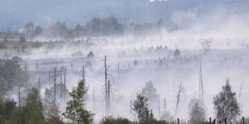 In Europe, Today’s Children Will Live Through Nearly Twice as Many Fire Weather Days Than Their Grandparents