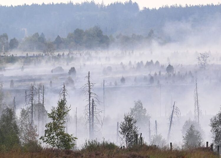 In Europe, Today’s Children Will Live Through Nearly Twice as Many Fire Weather Days Than Their Grandparents