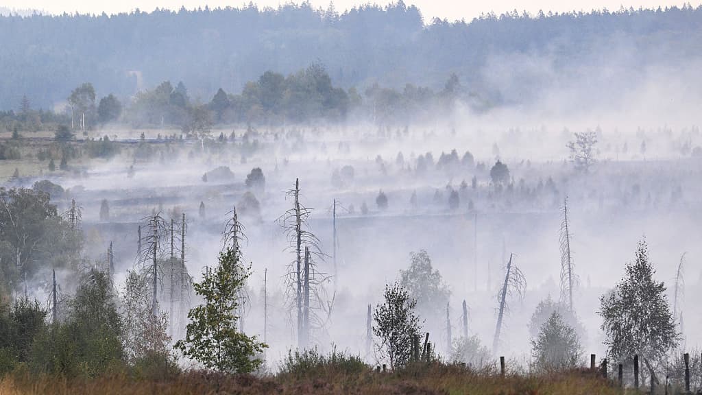 In Europe, Today’s Children Will Live Through Nearly Twice as Many Fire Weather Days Than Their Grandparents