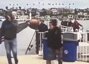 Large group of suspected illegal migrants dumped in ritzy California harbor before fleeing among mansions