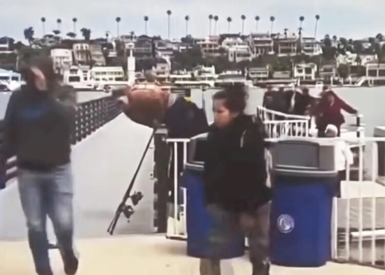 Large group of suspected illegal migrants dumped in ritzy California harbor before fleeing among mansions