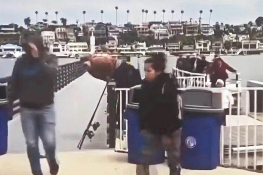 Large group of suspected illegal migrants dumped in ritzy California harbor before fleeing among mansions