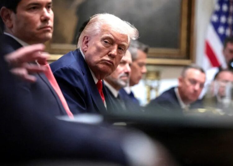 ‘Pretty remarkable slip’ by Trump sets him up for another big loss: expert