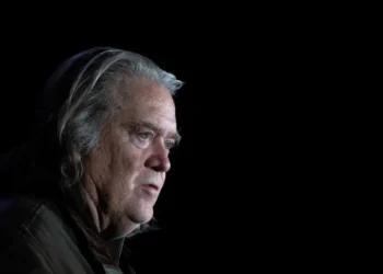 Trump biographer claims Steve Bannon went to Epstein hunting ‘dirt’ on Trump