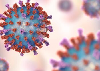 RSV Vaccines Are Highly Effective in Older Adults